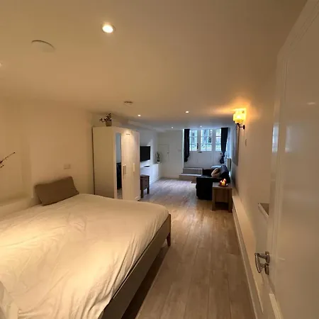 Tulip House Luxury - Location - Rijksmuseum - Leidseplein 120 M2 Private With Kitchen *