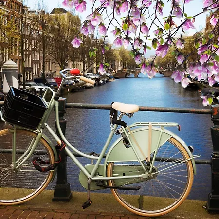 Tulip House Luxury - Location - Rijksmuseum - Leidseplein 120 M2 Private With Kitchen Amsterdam