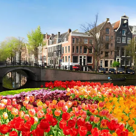 Kingsize - Luxury Near Leidseplein & Rijksmuseum - Centre * Amsterdam